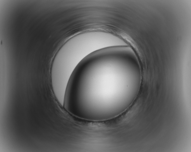 X0000089371089200706150838