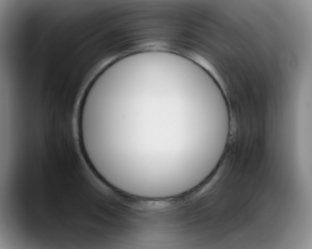 X0000089371090200706150838