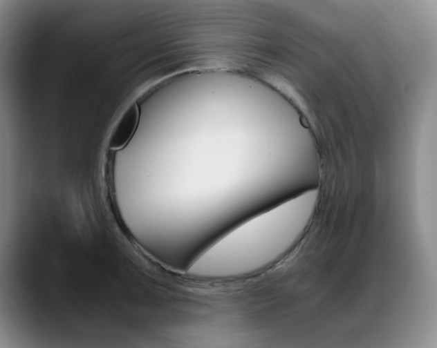 X0000089371091200706150838