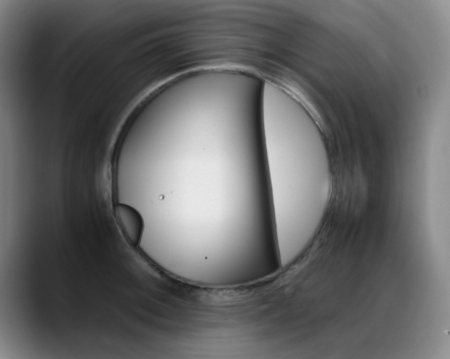 X0000089371092200706150838