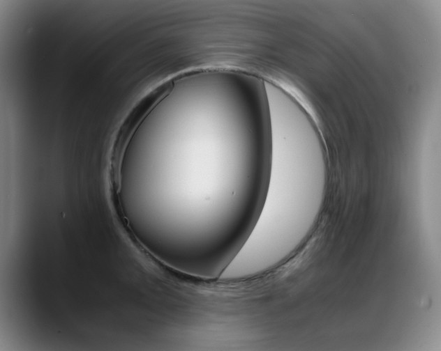 X0000089371093200706150838