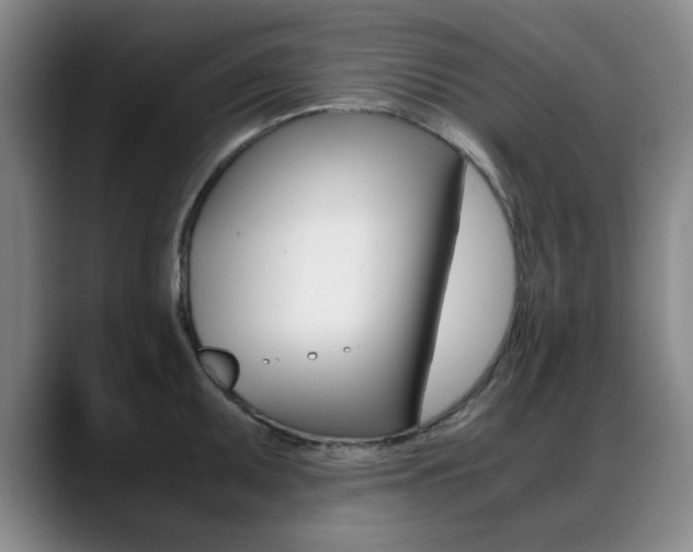 X0000089371095200706150838