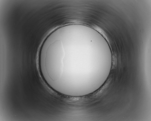 X0000089371098200706150838