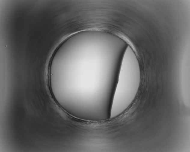 X0000089371099200706150838