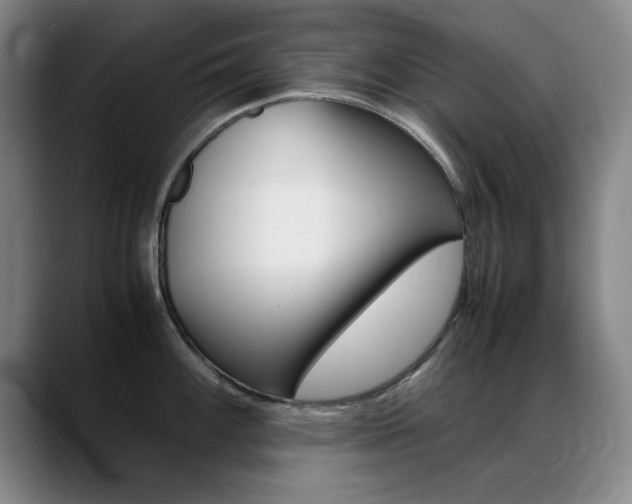 X0000089371100200706150838