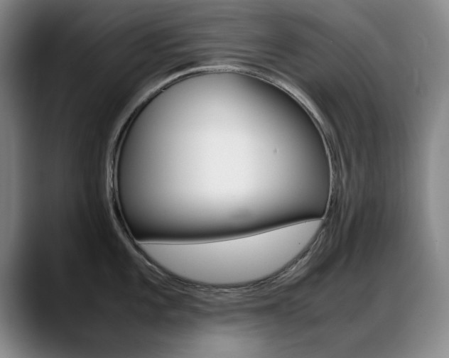 X0000089371101200706150838