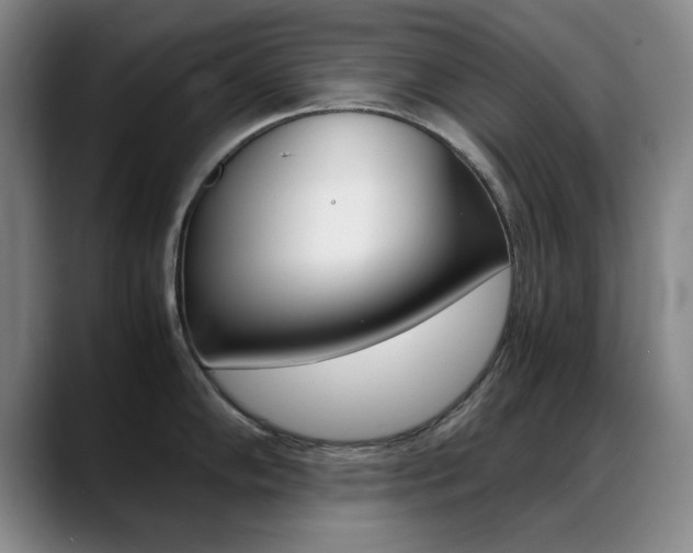 X0000089371102200706150838