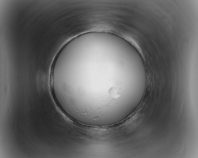 X0000089371103200706150838