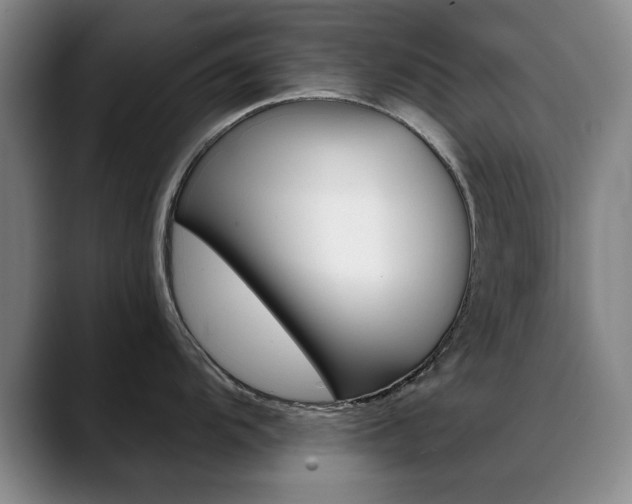 X0000089371104200706150838