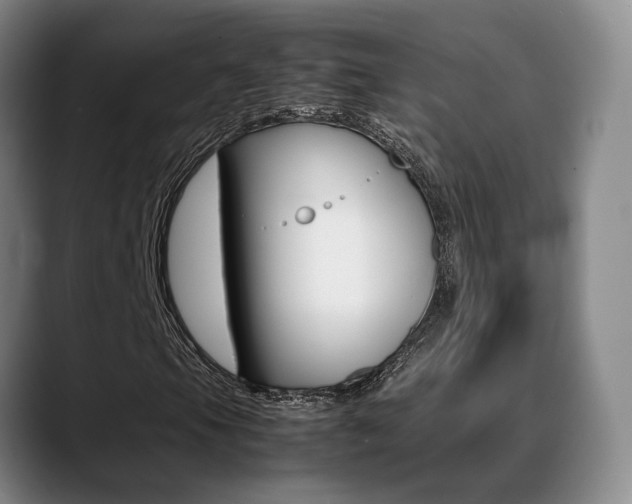 X0000089371105200706150837
