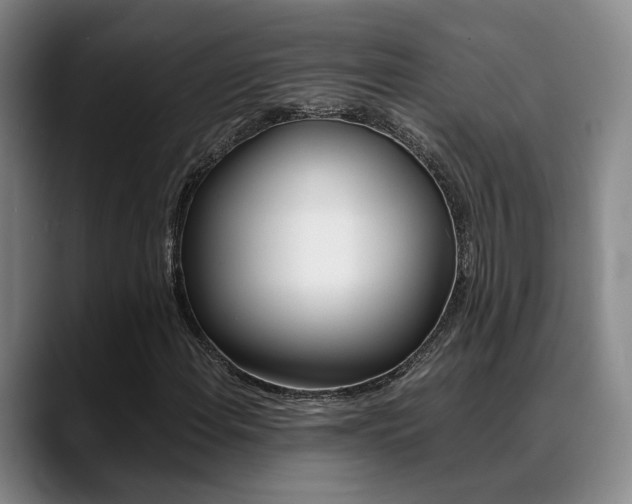 X0000089371108200706150837