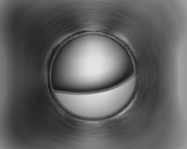 X0000089371114200706150838