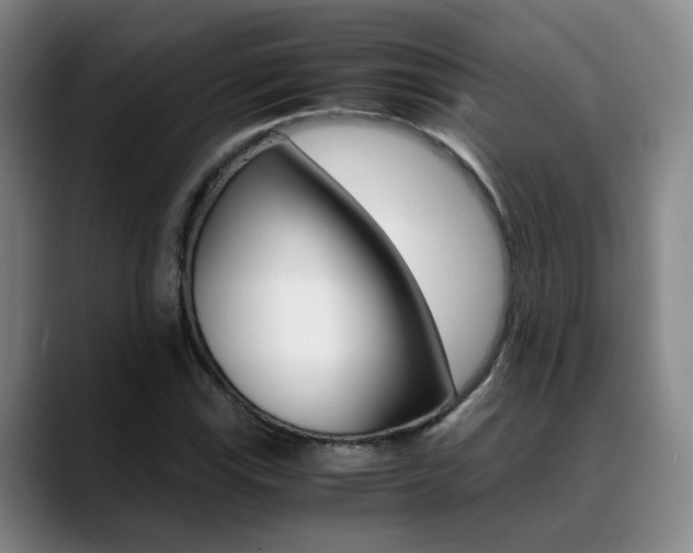 X0000089371115200706150838