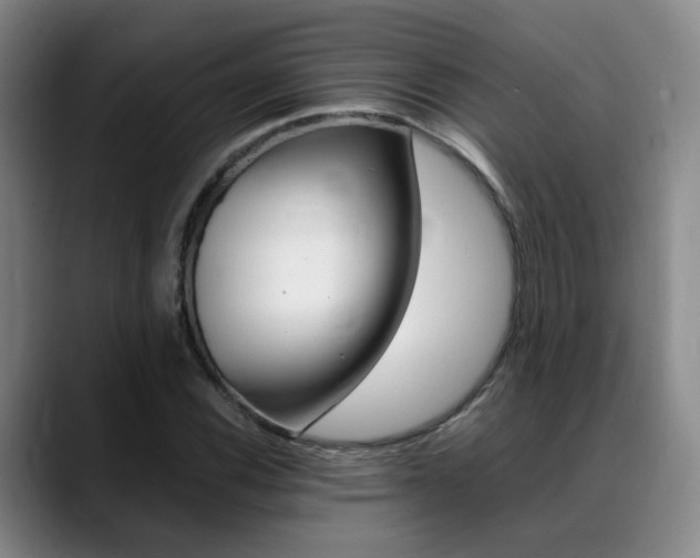 X0000089371116200706150838
