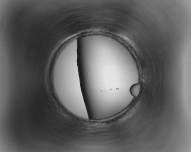 X0000089371117200706150838