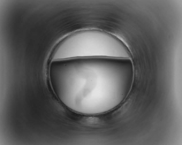 X0000089371119200706150838