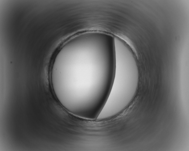 X0000089371120200706150838