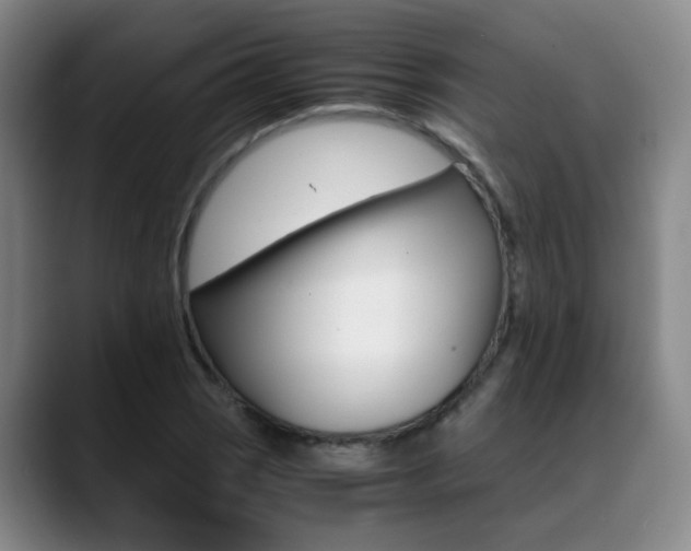 X0000089371121200706150838