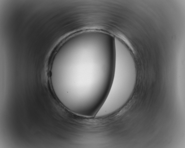 X0000089371124200706150838