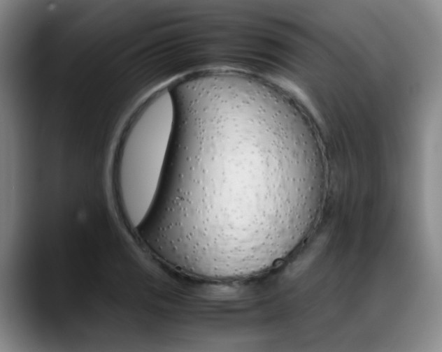 X0000089371125200706150838