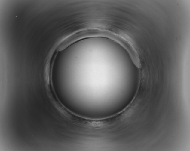 X0000089371128200706150838