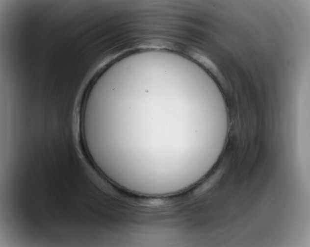 X0000089371130200706150838