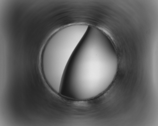 X0000089371135200706150838