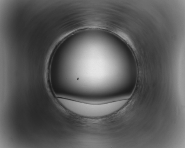 X0000089371136200706150838