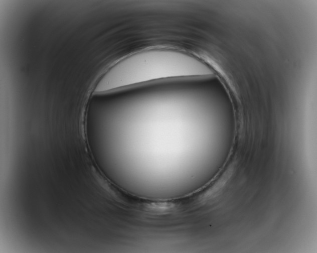 X0000089371137200706150838