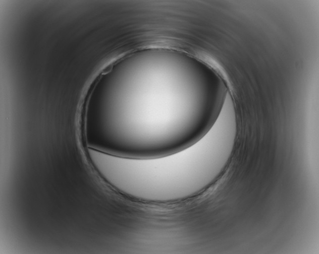 X0000089371138200706150838