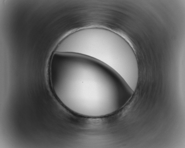 X0000089371142200706150838
