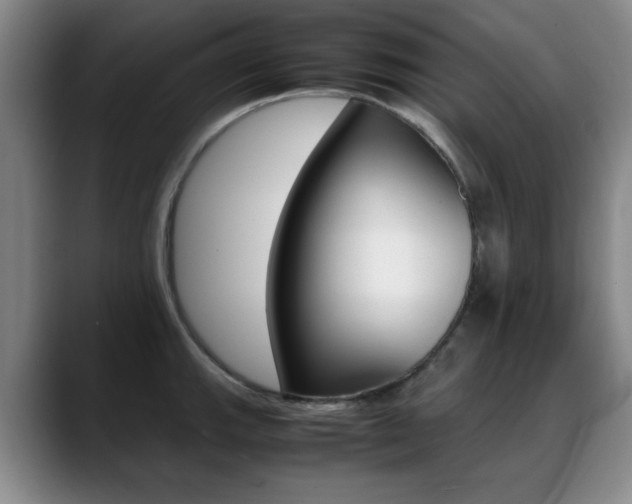 X0000089371143200706150838