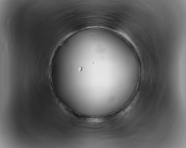 X0000089371145200706150838