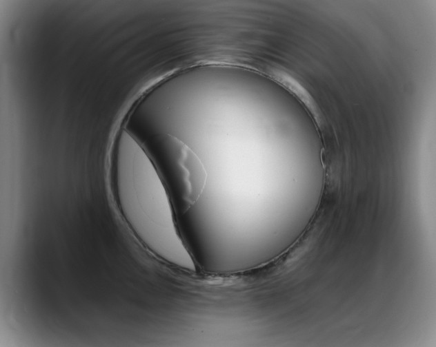 X0000089371146200706150838