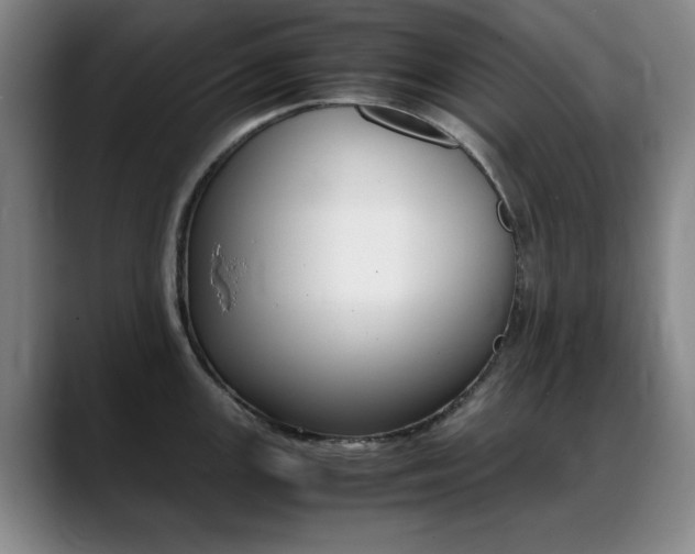 X0000089371147200706150838