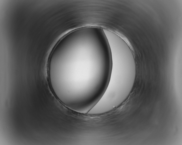 X0000089371148200706150838