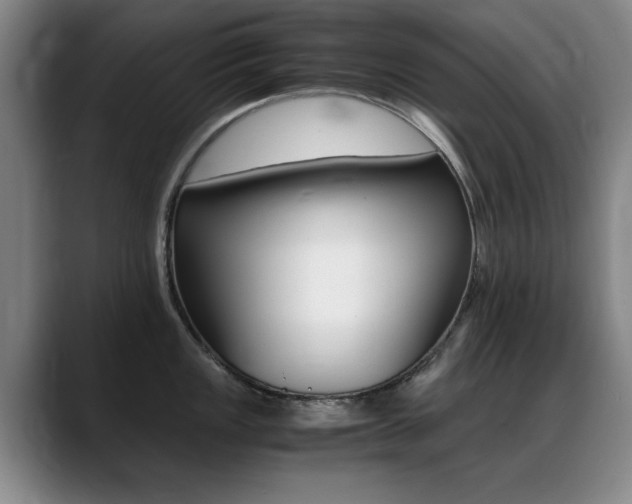 X0000089371149200706150838