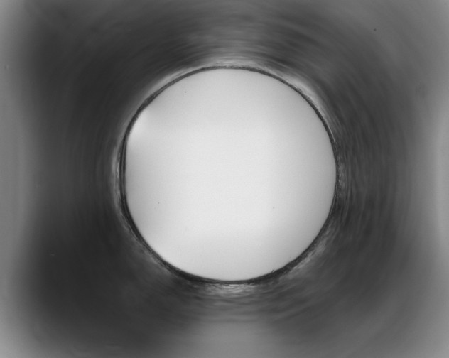 X0000089371150200706150838