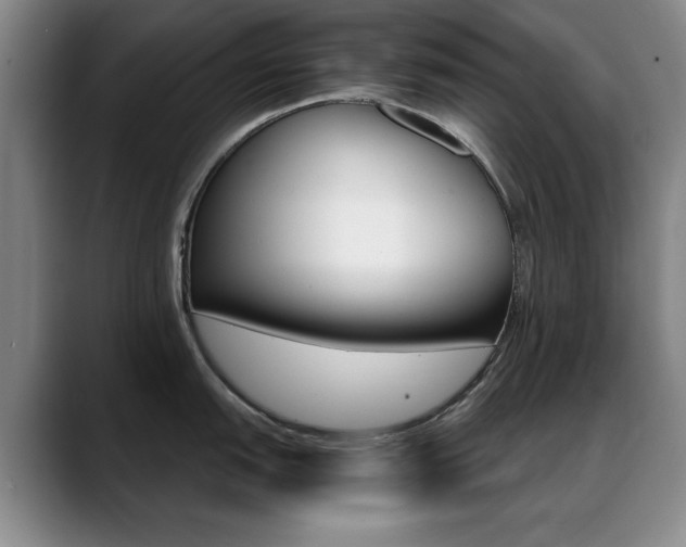 X0000089371151200706150838
