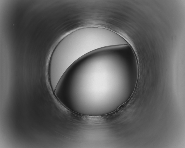 X0000089371152200706150838