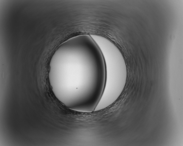 X0000089371153200706150837