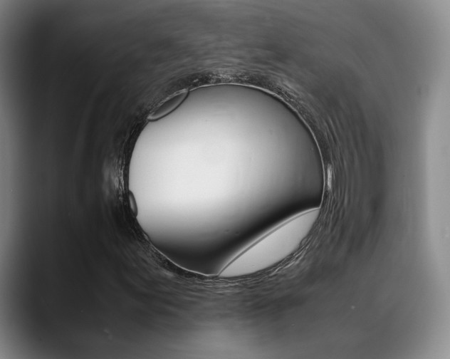 X0000089371155200706150837