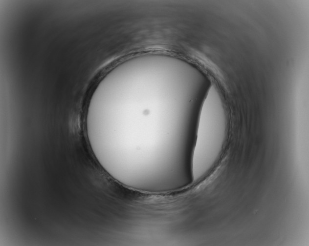 X0000089371166200706150837