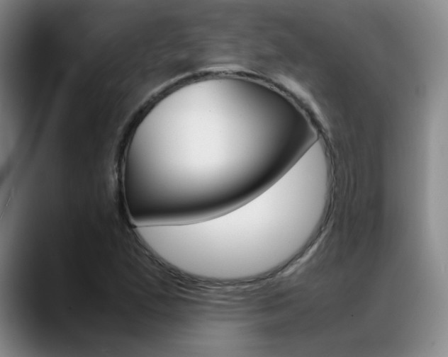 X0000089371167200706150837