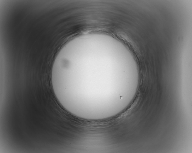 X0000089371169200706150837