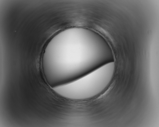 X0000089371170200706150837