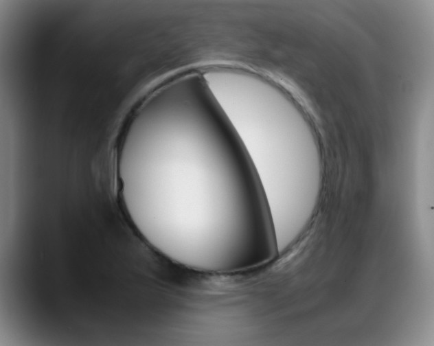 X0000089371175200706150837