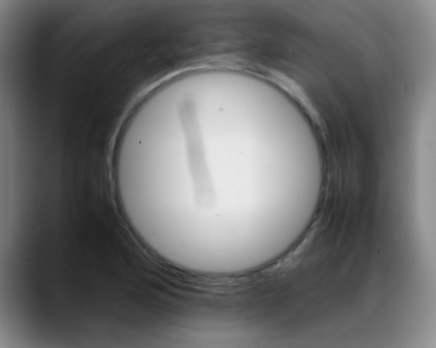 X0000089371176200706150837