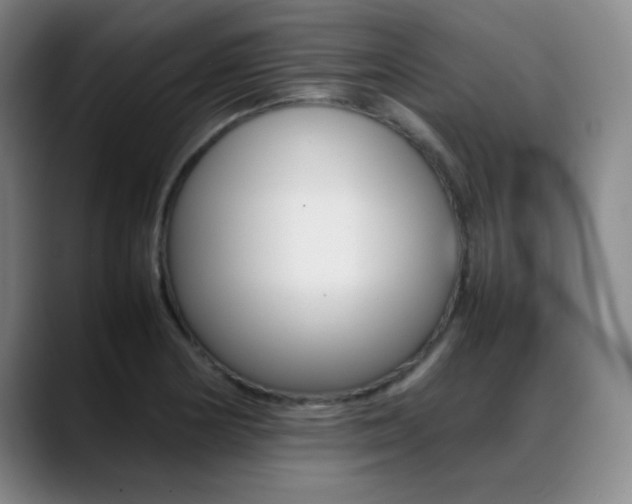 X0000089371178200706150837