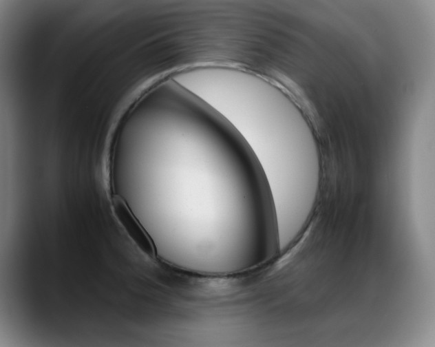 X0000089371188200706150837